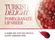 Turkish Delight: Pomegranate Lip Sheer